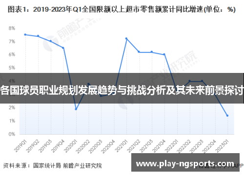 各国球员职业规划发展趋势与挑战分析及其未来前景探讨