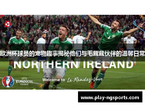 欧洲杯球员的宠物趣事揭秘他们与毛茸茸伙伴的温馨日常