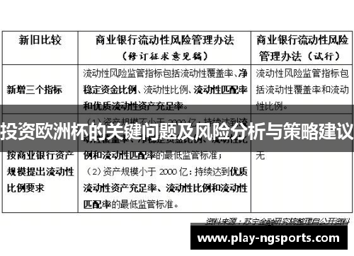 投资欧洲杯的关键问题及风险分析与策略建议
