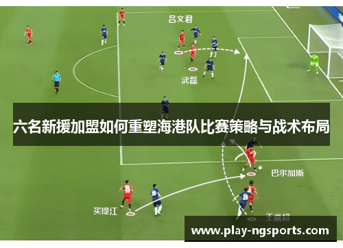 六名新援加盟如何重塑海港队比赛策略与战术布局