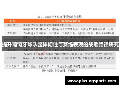 提升葡萄牙球队整体韧性与赛场表现的战略路径研究