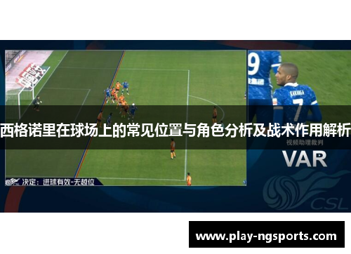 西格诺里在球场上的常见位置与角色分析及战术作用解析