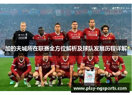 加的夫城所在联赛全方位解析及球队发展历程详解 加的夫城所在联赛全方位解析及球队发展历程详解