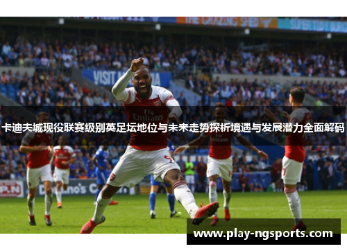 卡迪夫城现役联赛级别英足坛地位与未来走势探析境遇与发展潜力全面解码